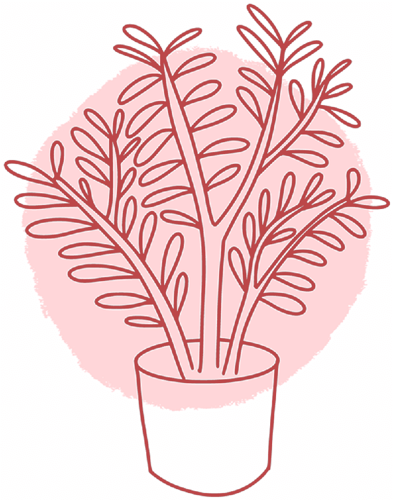 An outline of a plant in a pot with a red overlay.